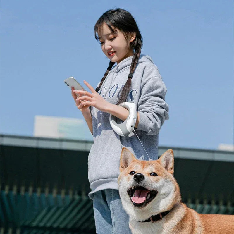 3m luminous Durable Dog Leash