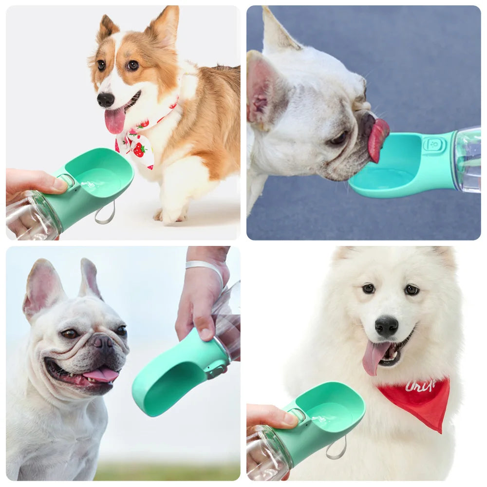 Portable Dog Water Bottle – Hydration on the Go!