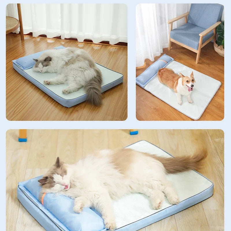 Orthopedic Bolstered Dog Bed