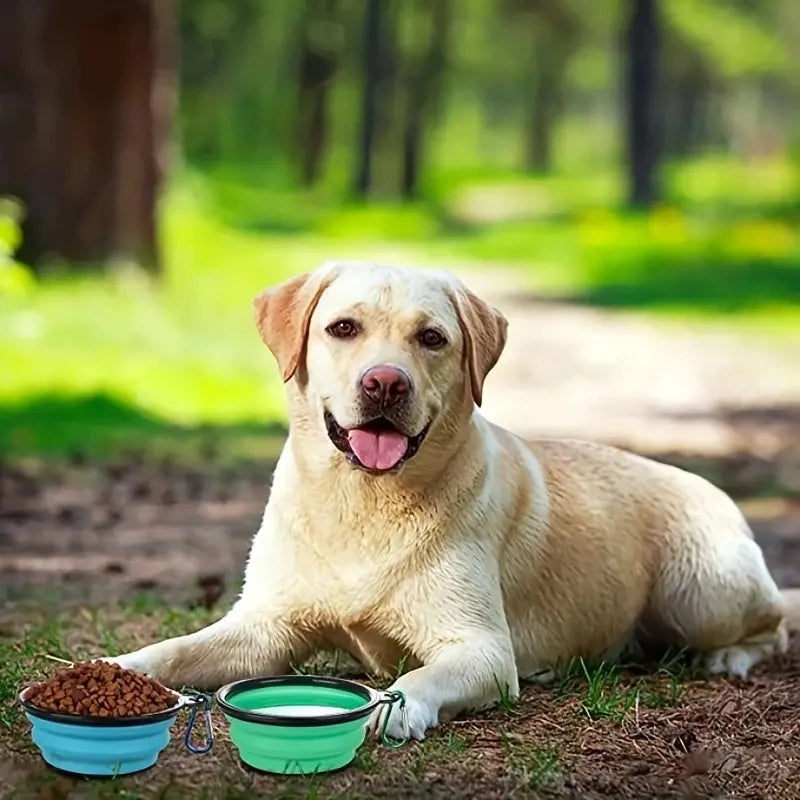 Travel Bowls – The Ultimate Dining Experience for Your Pooch on the Go!