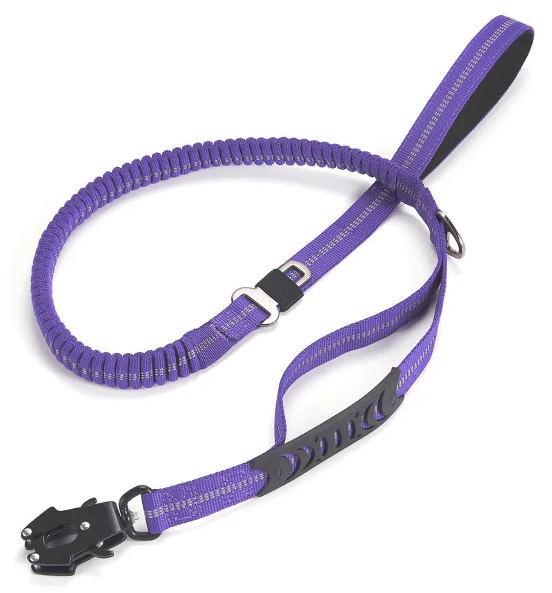 Shock Absorbing Pet Leash with Car Seatbelt
