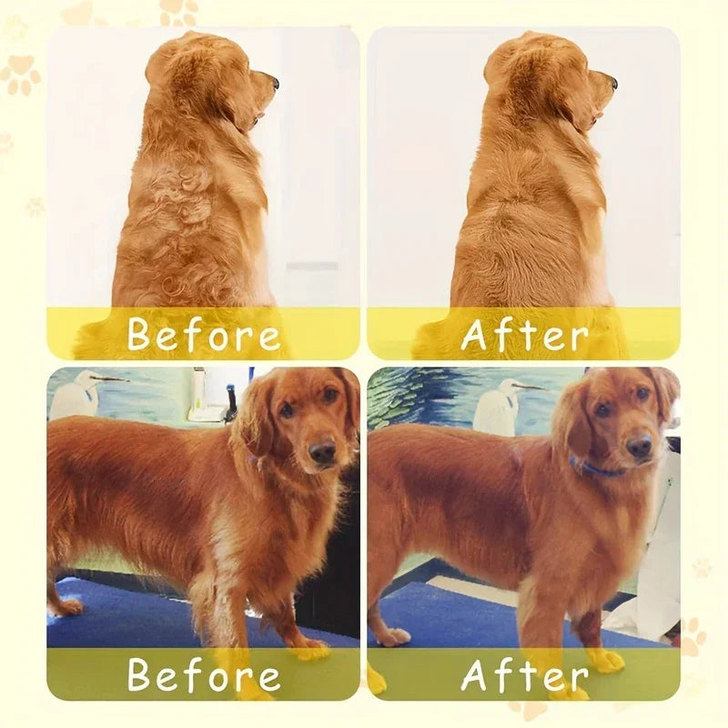 3-in-1 Dog Hair Cat Hair Brush Electric Pet Cleaning Brush Steam Spray Brush Massage Hair Removal Comb Anti Flying Brushes