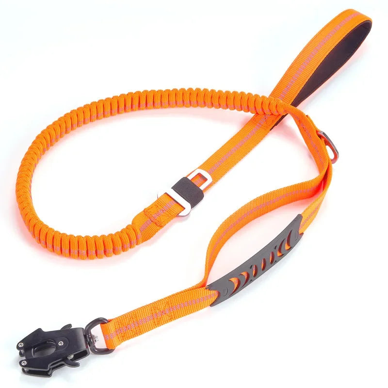 Shock Absorbing Pet Leash with Car Seatbelt