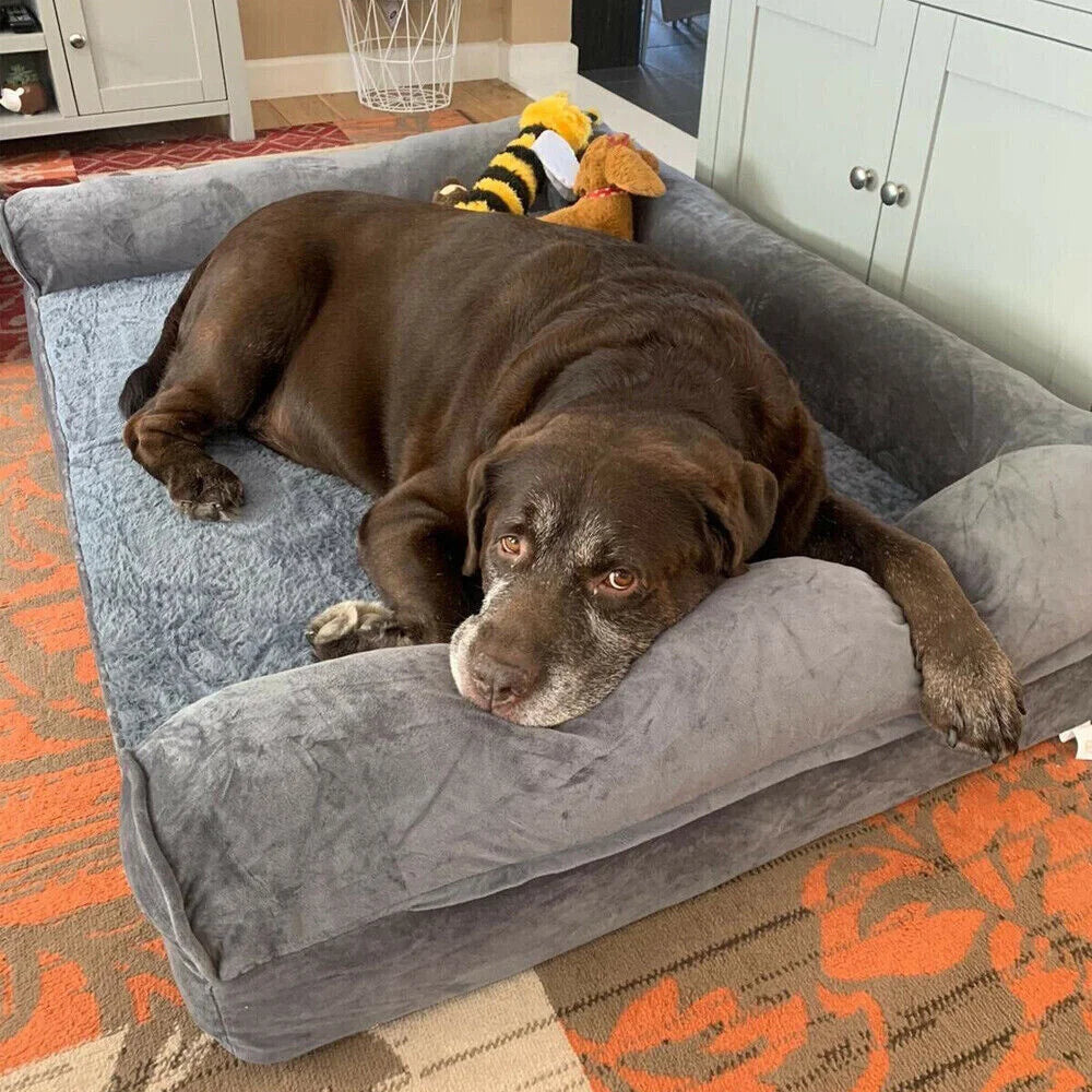 Orthopedic Dog Sofa Bed