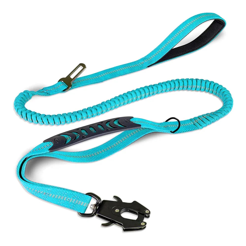 Shock Absorbing Pet Leash with Car Seatbelt