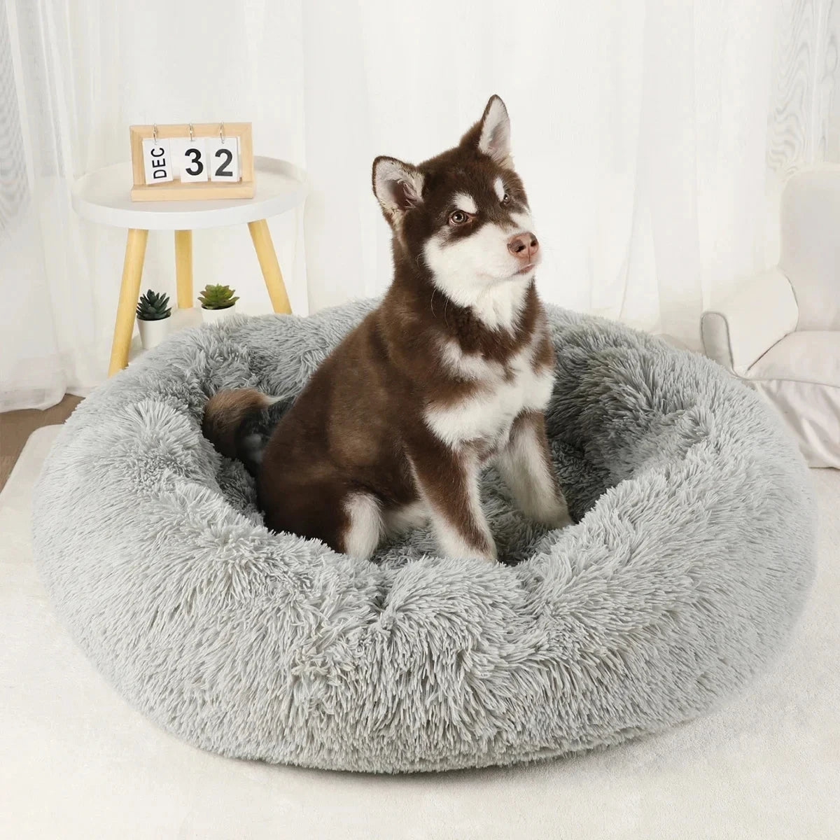 Donut Round Basket Plush Bed for Pets