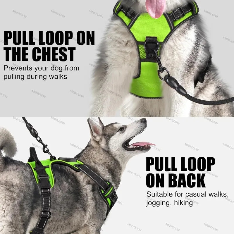 Light-Up Dog Harness