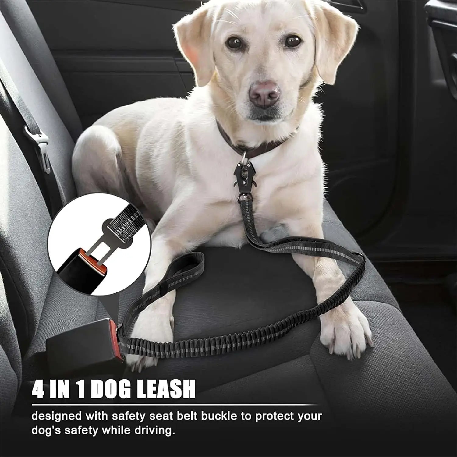 Shock Absorbing Pet Leash with Car Seatbelt