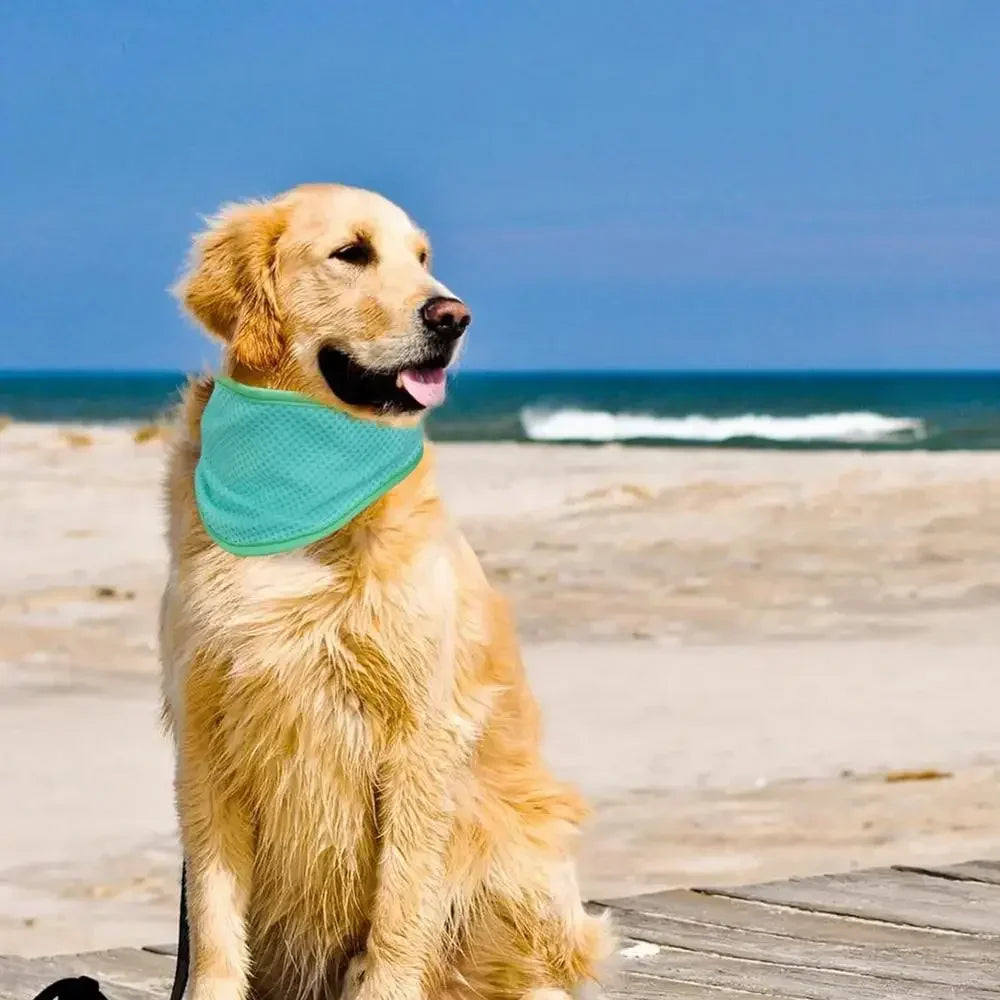 Dog Cooling Scarf