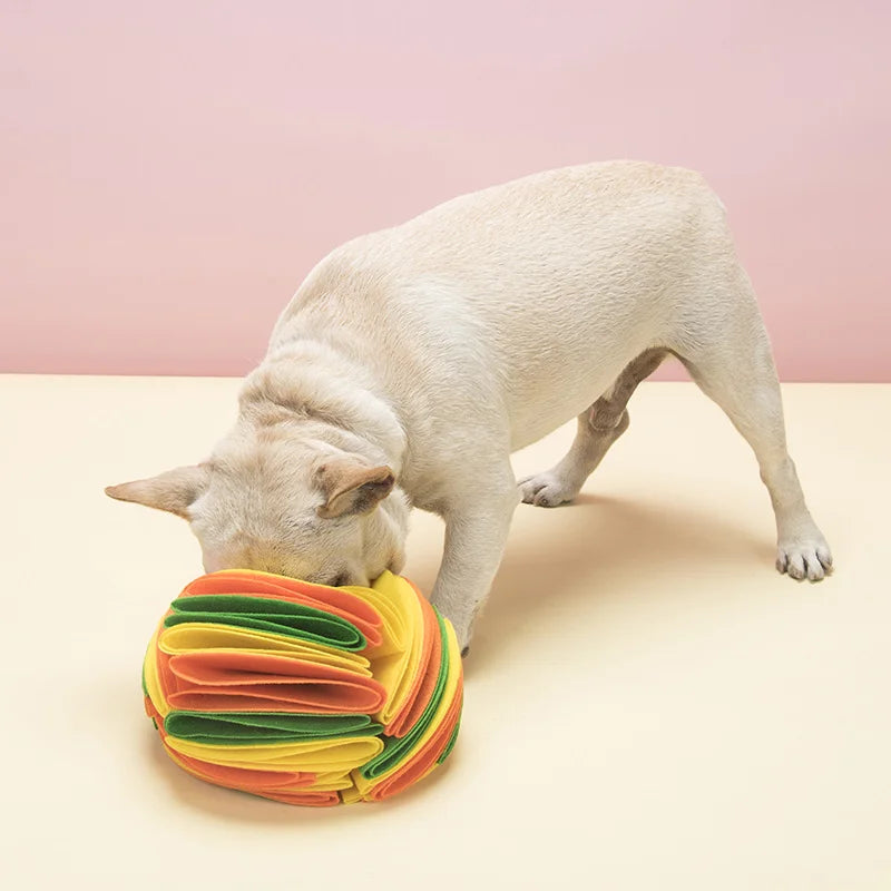 Snuffle Ball Interactive Toy