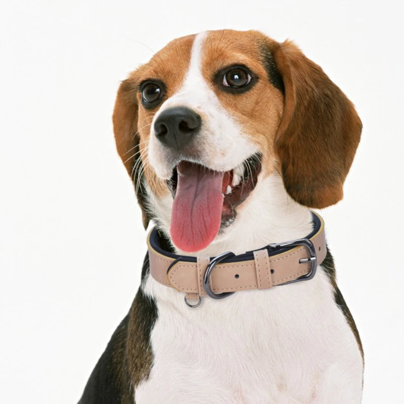 Adjustable Leather Dog Collar