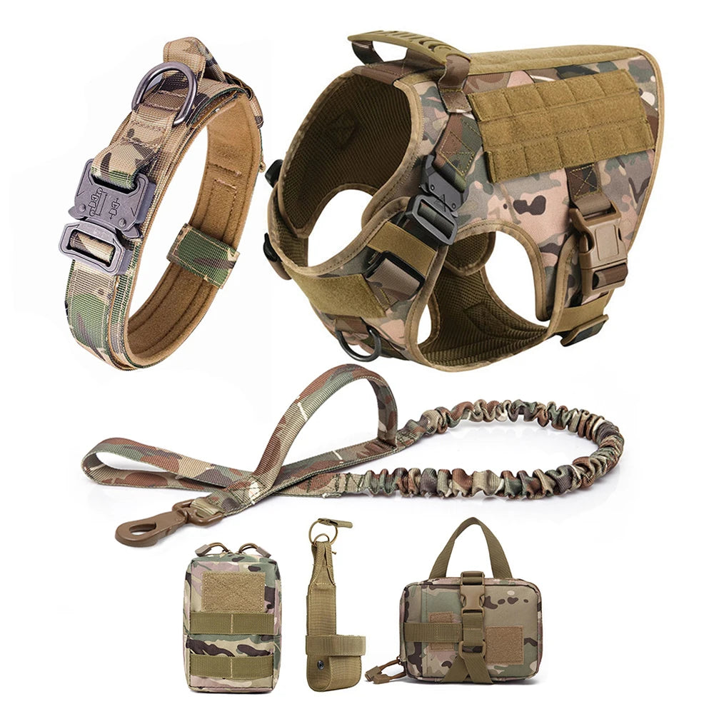 All In One Dog Starter Set
