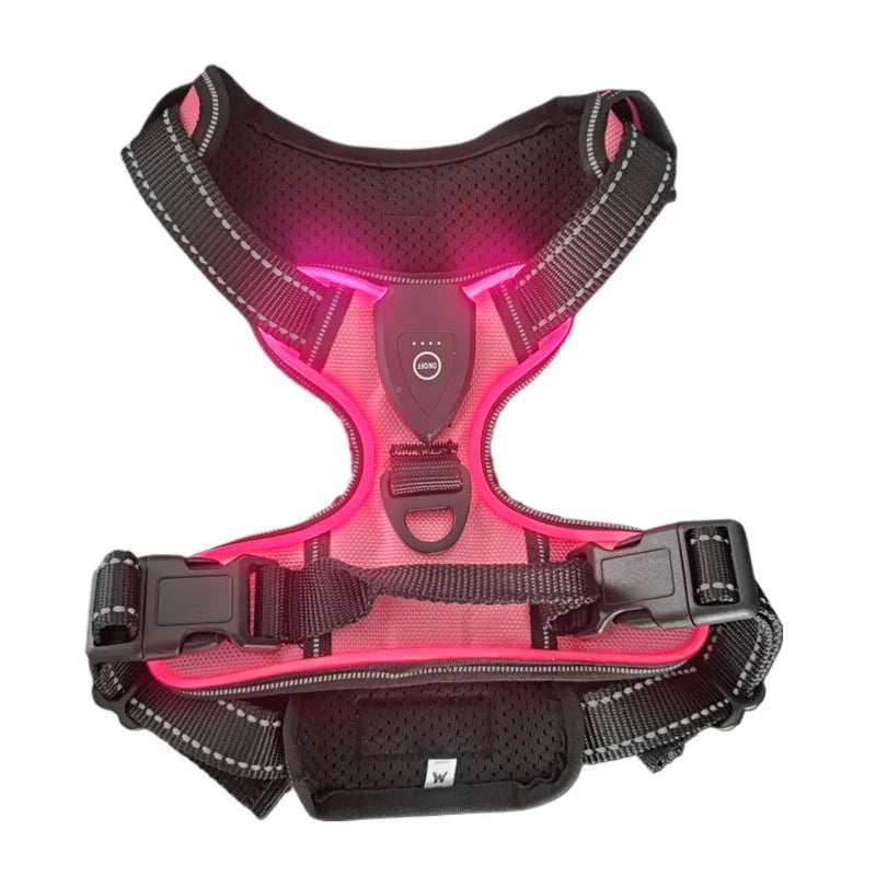 Light-Up Dog Harness