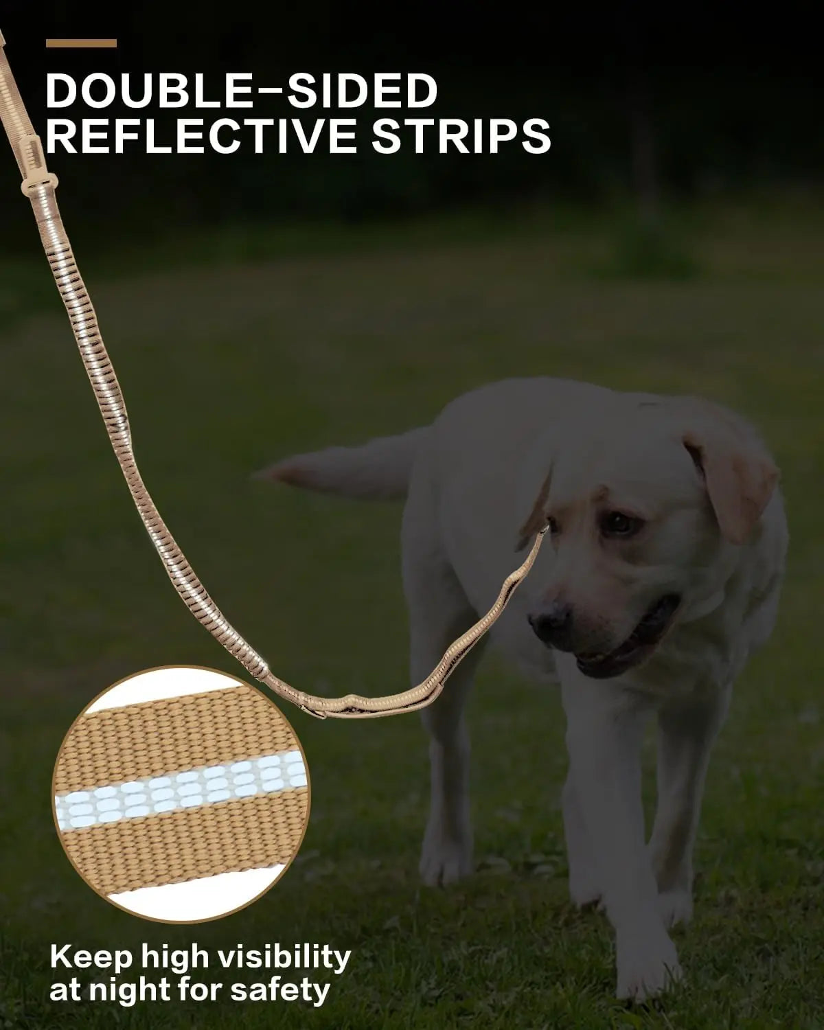 Shock Absorbing Pet Leash with Car Seatbelt