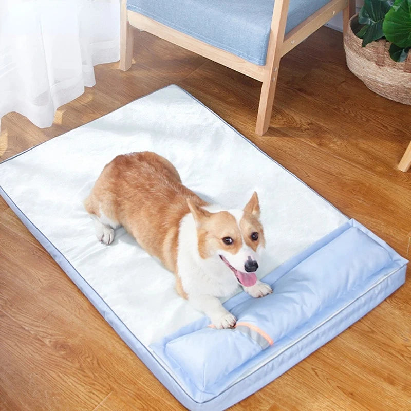 Orthopedic Bolstered Dog Bed
