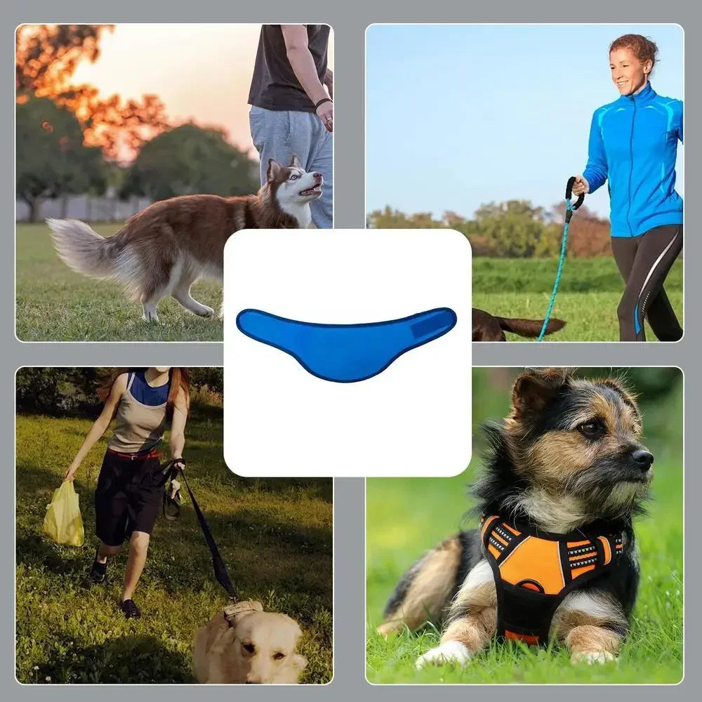 Dog Cooling Scarf