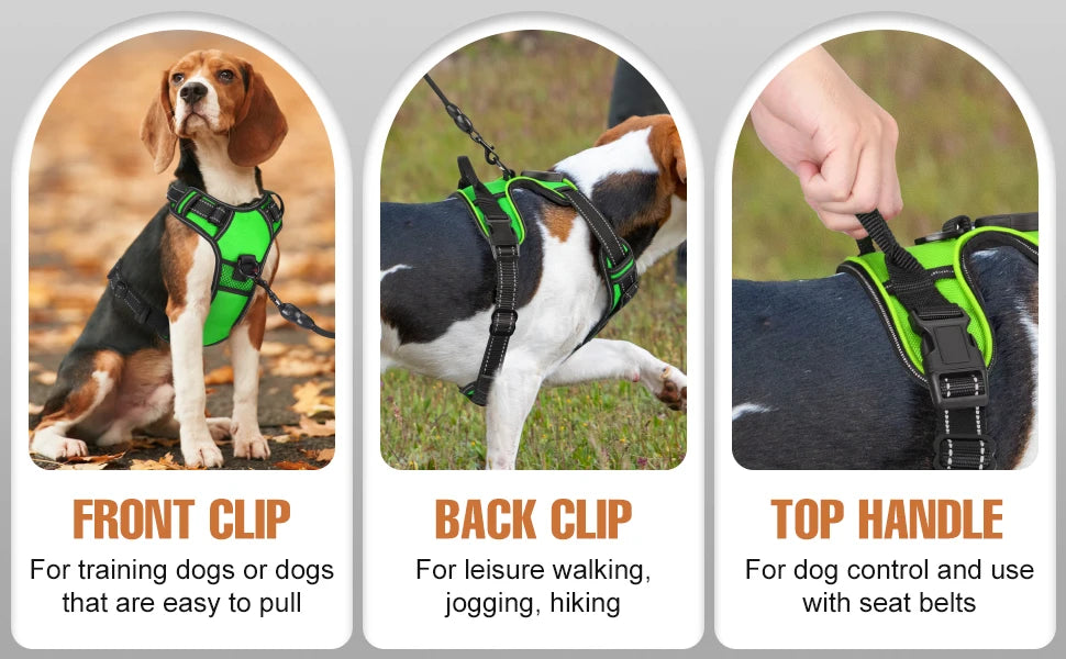 Light-Up Dog Harness