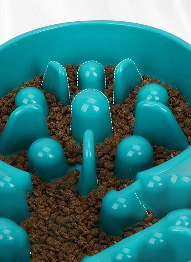 Starfish Slow Feeder Dog Bowl