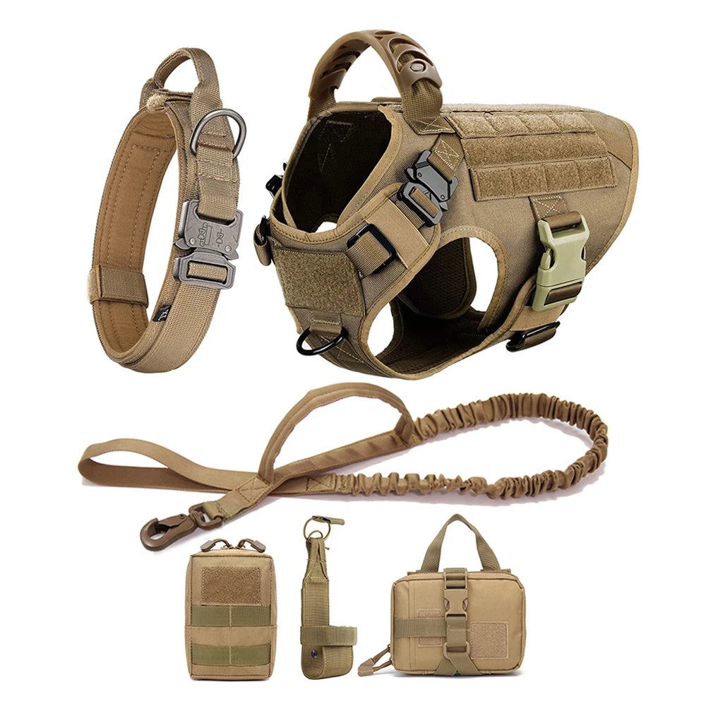 All In One Dog Starter Set
