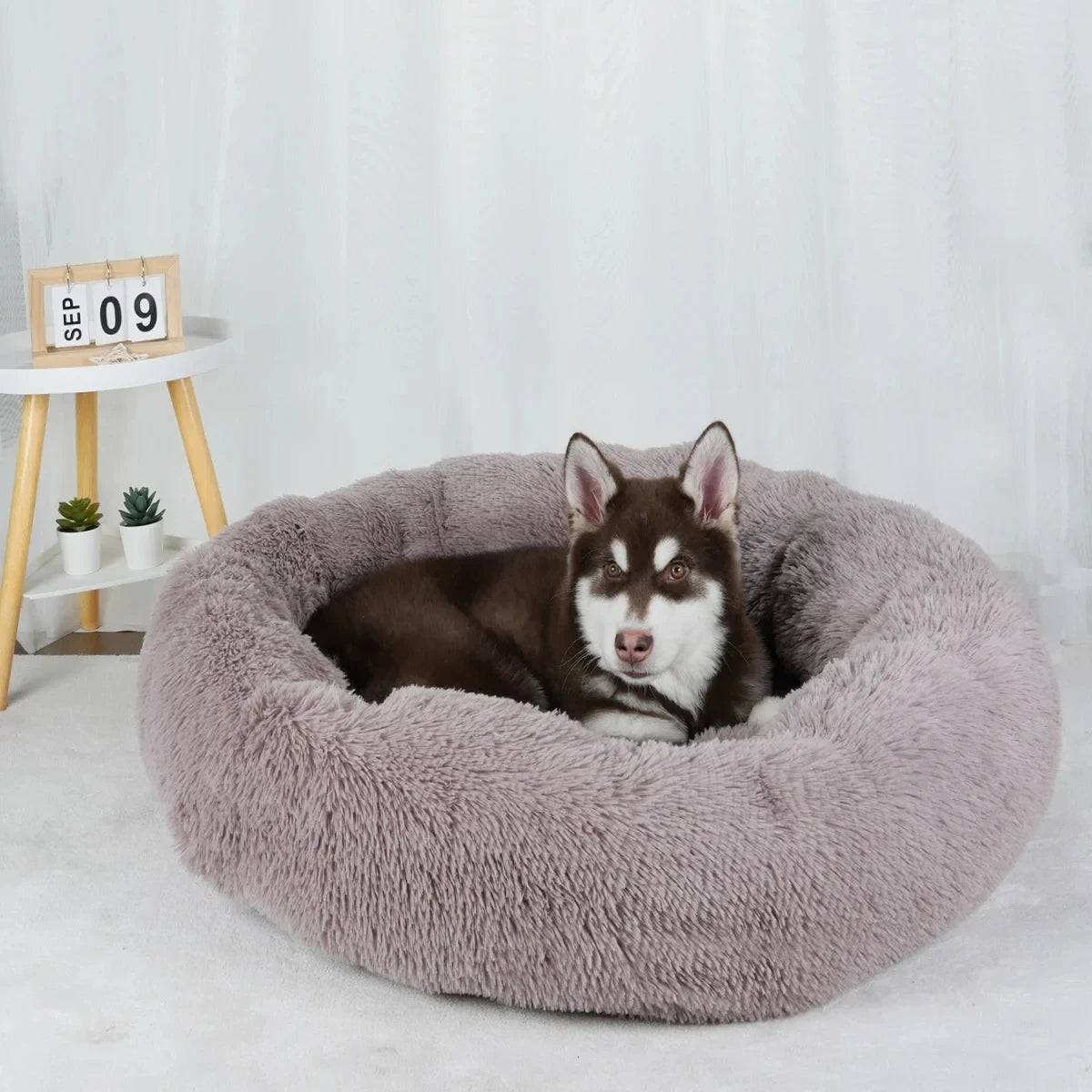 Donut Round Basket Plush Bed for Pets
