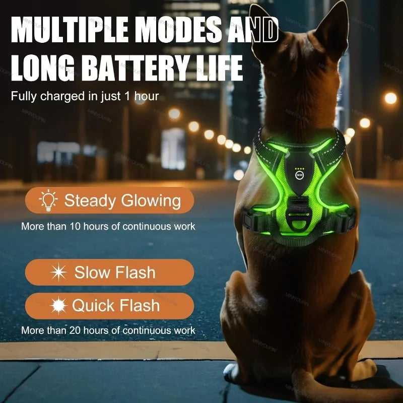 Light-Up Dog Harness