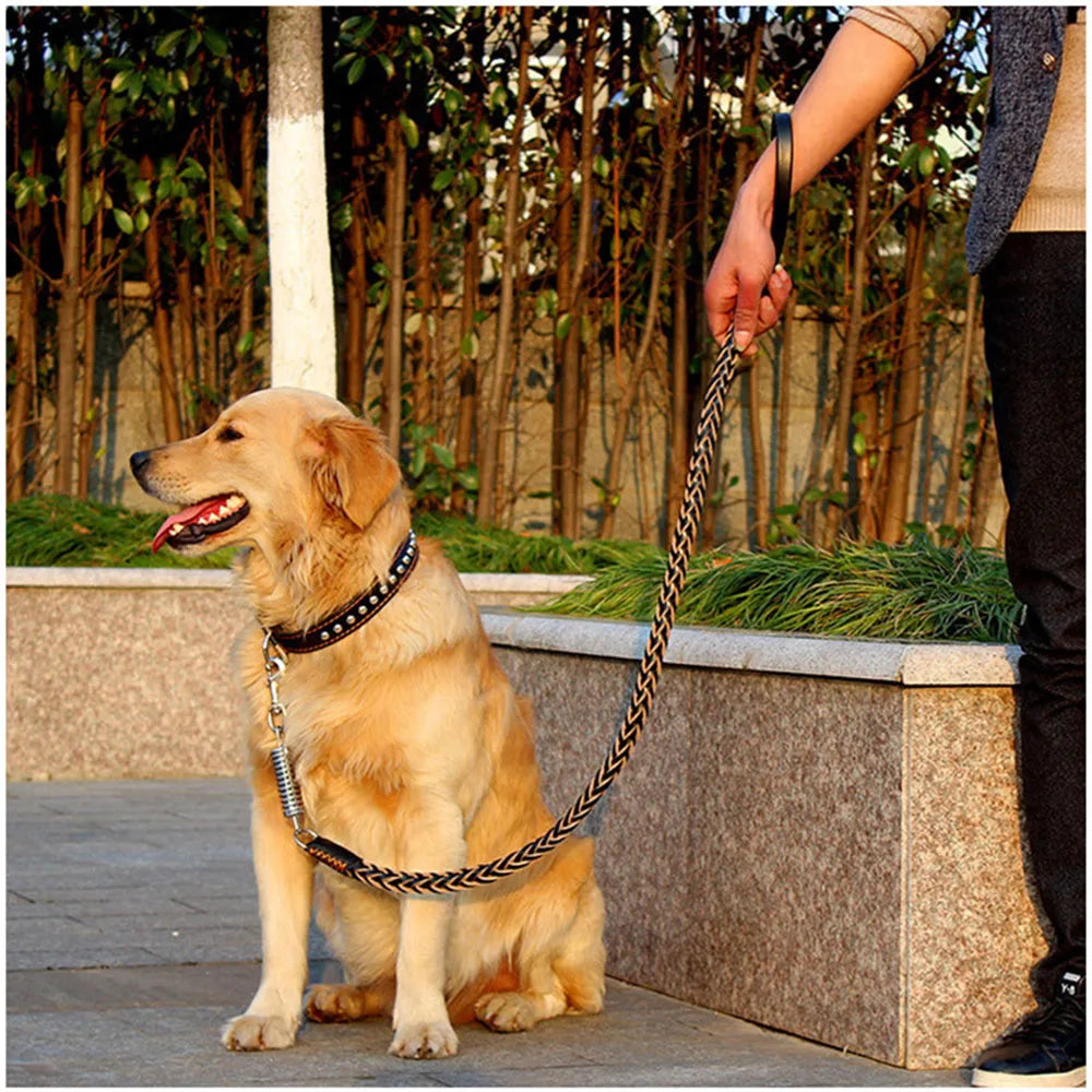 Heavy Duty Leather Dog Leash with Shock Absorption