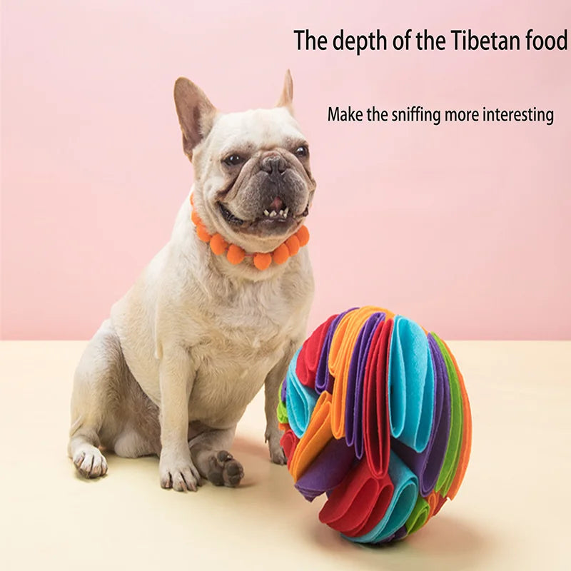 Snuffle Ball Interactive Toy